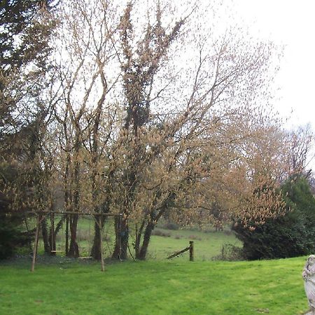 Chateau Champigny Maillet (Allier) Bagian luar foto